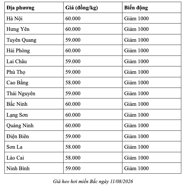 anh-man-hinh-2026-08-11-luc-07.28.17.png