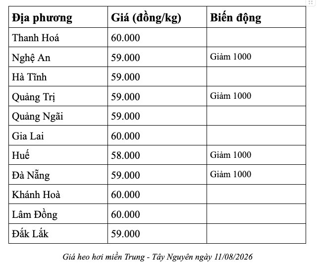 anh-man-hinh-2026-08-11-luc-07.28.28.png
