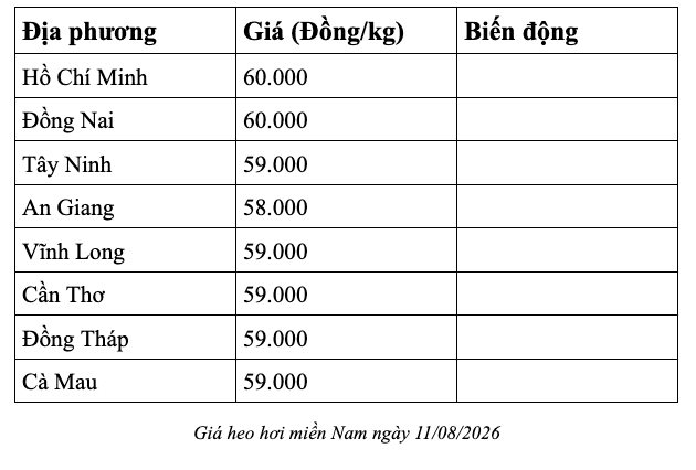 anh-man-hinh-2026-08-11-luc-07.28.51.png