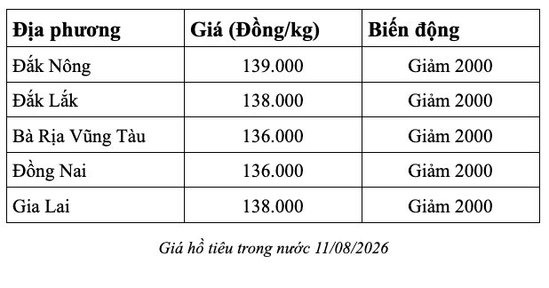 anh-man-hinh-2026-08-11-luc-07.29.02.png