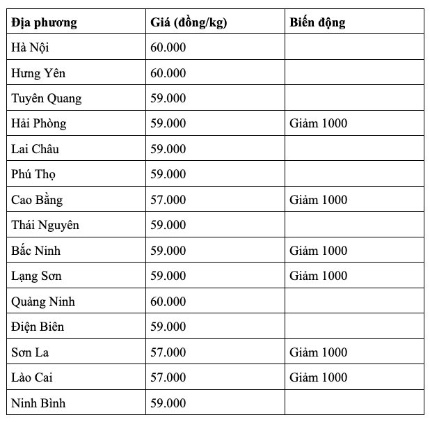 anh-man-hinh-2026-08-12-luc-07.24.30.png