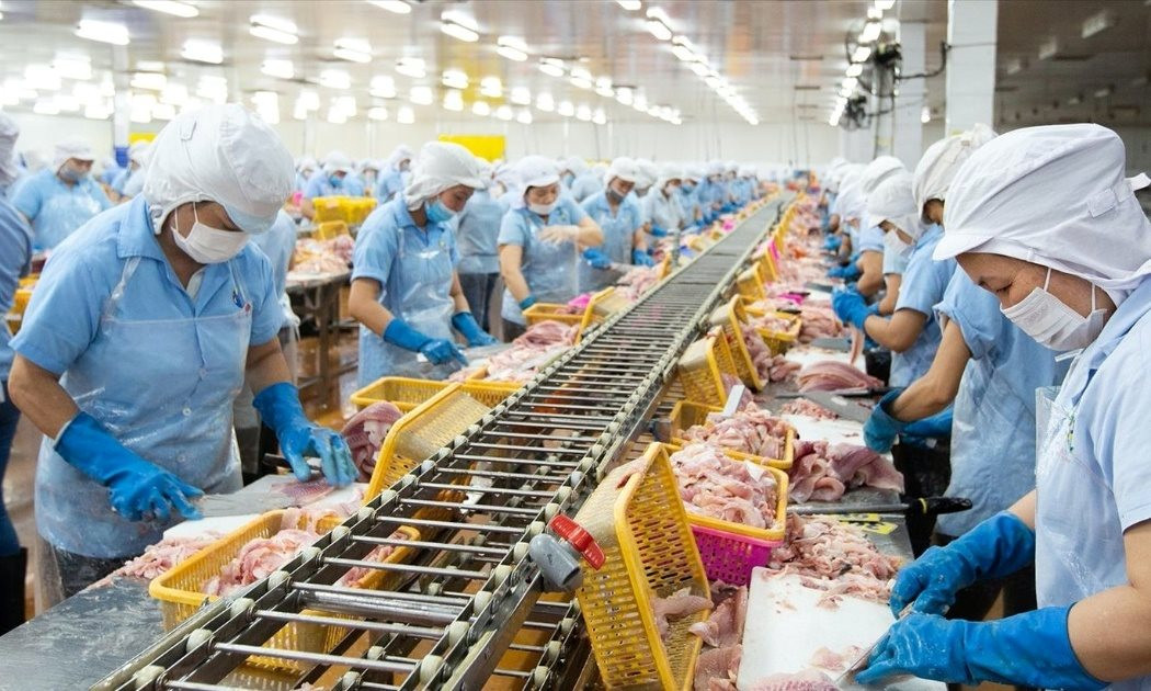 Con trai 'vua cá rô phi' lần thứ 3 mua thêm 1 triệu cổ phiếu ANV khi thị giá giảm gần 40% từ đầu năm 