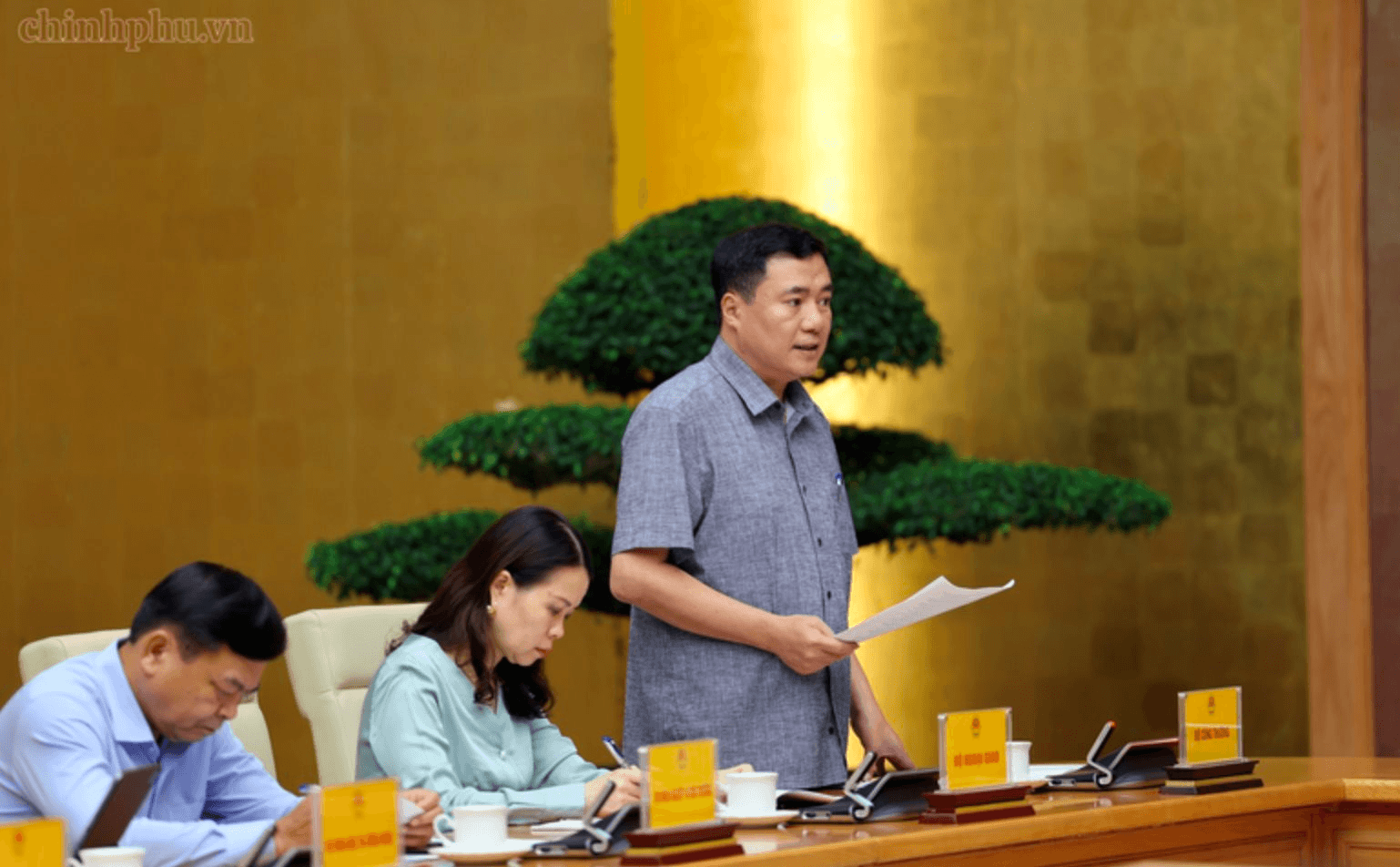 t2_nguyen-sinh-nhat-tan.png