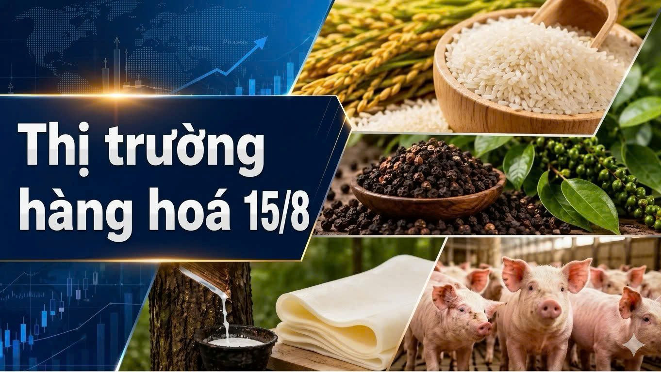 Thị trường hàng hóa 10-15/8: Cao su bứt phá, heo hơi giảm sâu