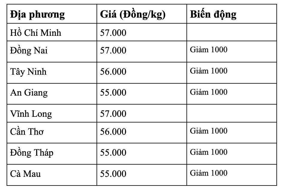anh-man-hinh-2026-08-19-luc-08.26.00.png
