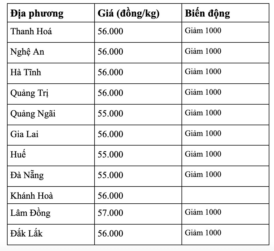 anh-man-hinh-2026-08-19-luc-08.26.13.png
