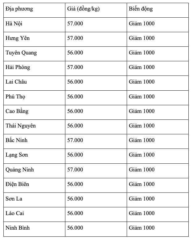 anh-man-hinh-2026-08-19-luc-08.26.26.png