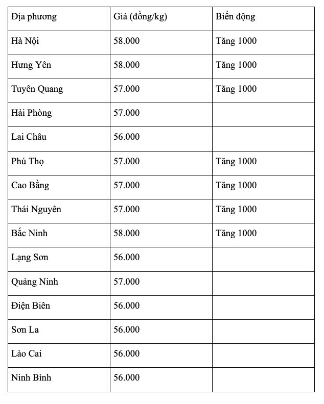 anh-man-hinh-2026-08-20-luc-07.42.39.png