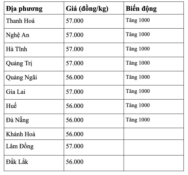 anh-man-hinh-2026-08-20-luc-07.42.48.png