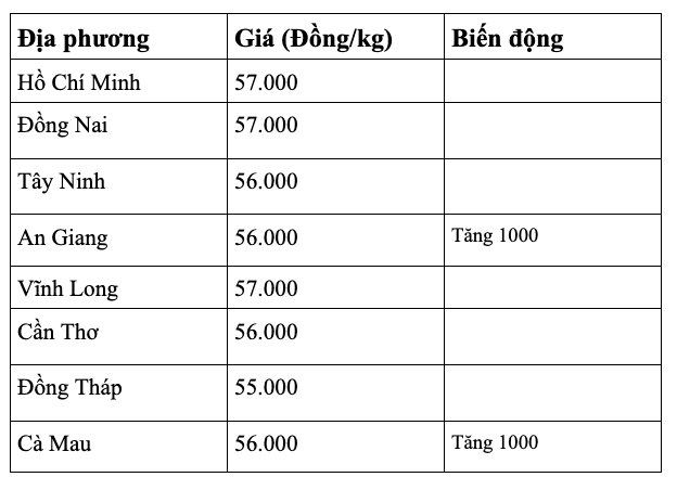 anh-man-hinh-2026-08-20-luc-07.44.01.png