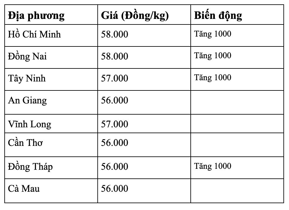 anh-man-hinh-2026-08-21-luc-07.24.01.png