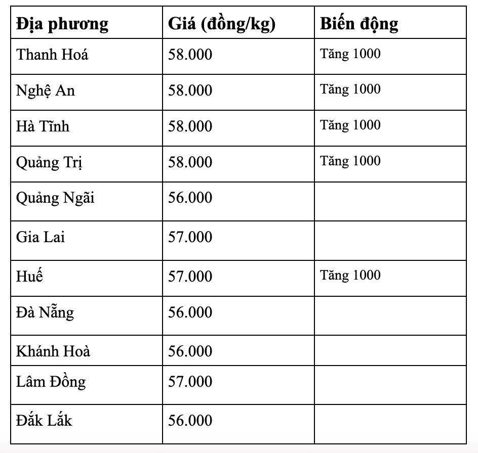 anh-man-hinh-2026-08-21-luc-07.24.11.png