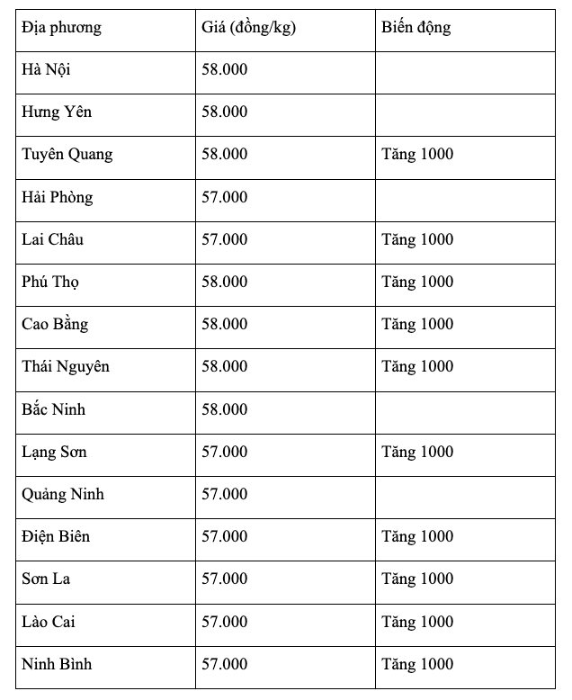 anh-man-hinh-2026-08-21-luc-07.24.25.png