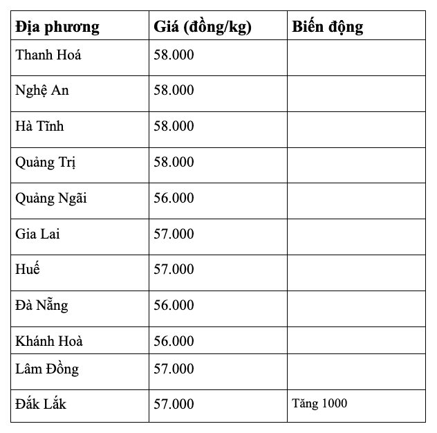 anh-man-hinh-2026-08-22-luc-07.21.55.png