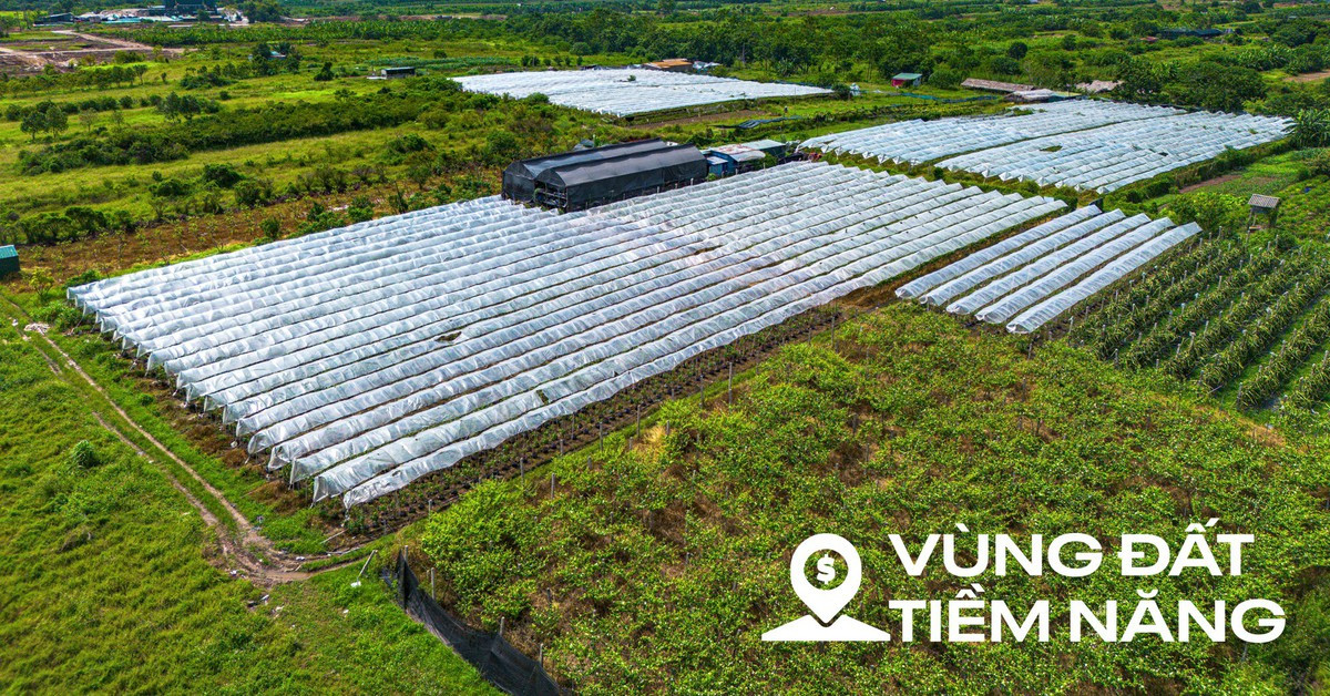 Toàn cảnh khu đất ven sông Hồng, nơi có thể xây tháp đôi nhiều tầng nhất thế giới, diện tích sàn gấp hơn 2 lần Burj Khalifa