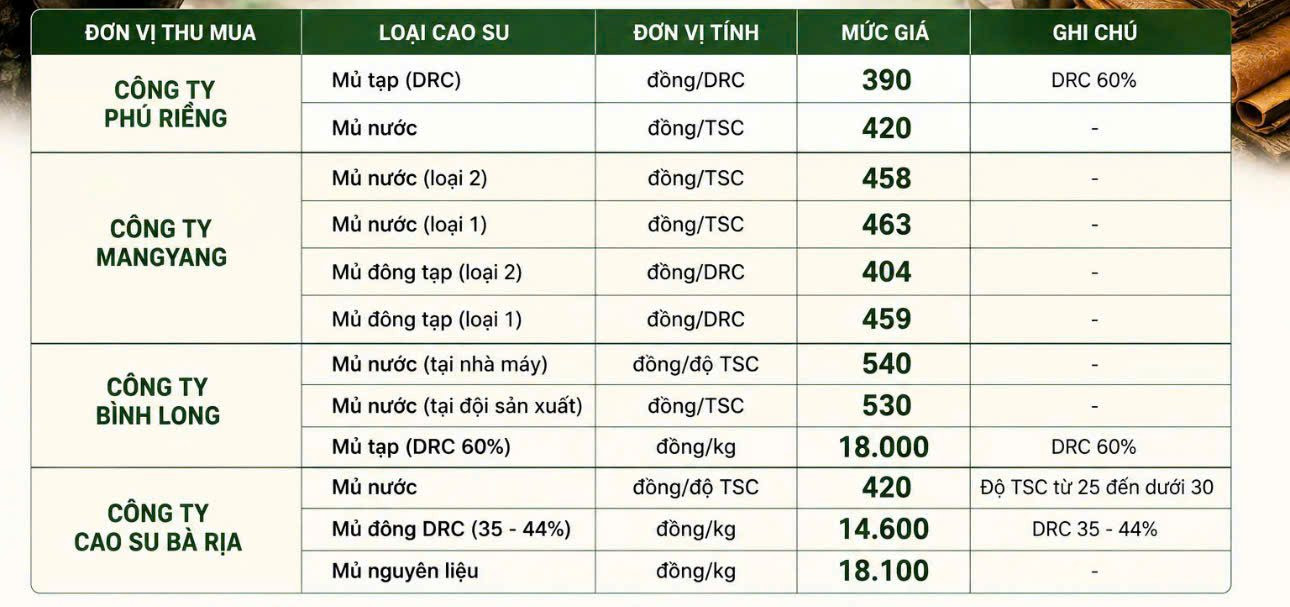 1787620155091_272897042162398884_1243871789192719918_cb0c8e933736561d0ae007c06c3decaf.jpg