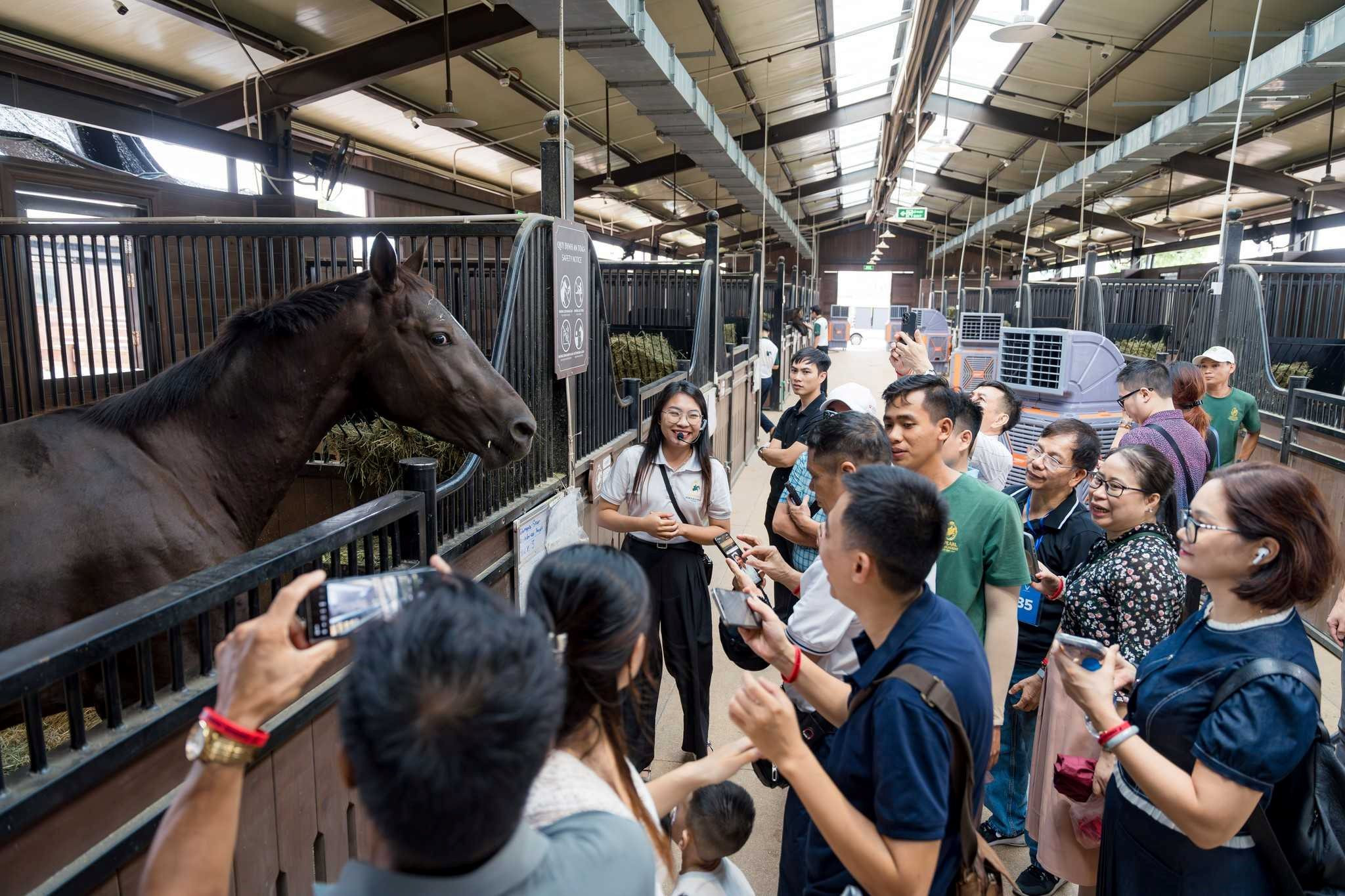 du-khach-den-vinpearl-horse-academy-vu-yen-tham-quan_1727692195.jpg