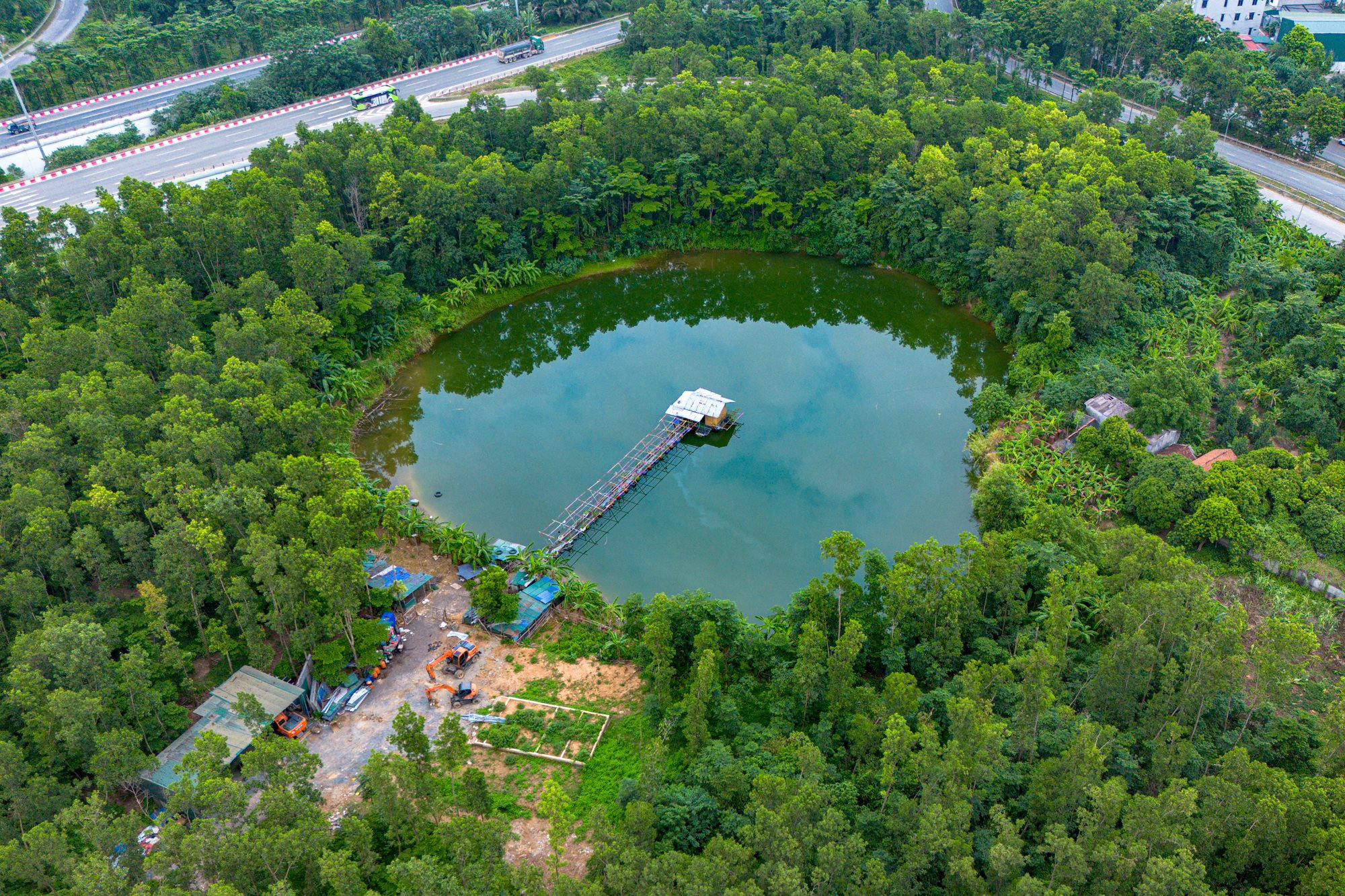 nut-giao-hoa-lac-5.jpg