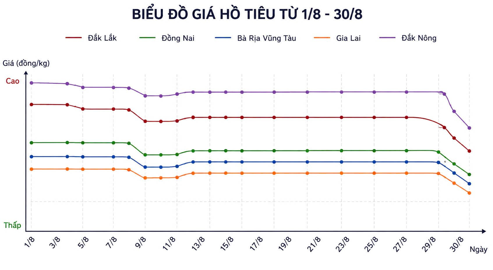 1788052421020_272897042162398884_1243871789192719918_49a05451af1b5dd0018db6d600f395a5.jpg