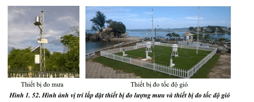 vins.png