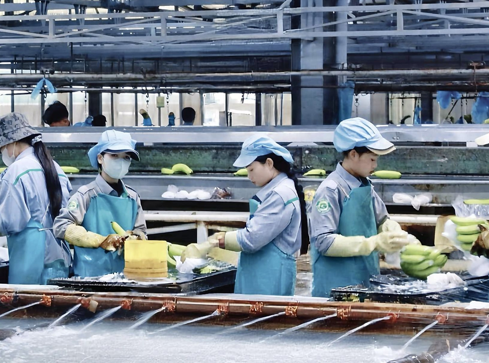 Thaco Agri đã bền bỉ ‘bơm tiền’ cho HAGL Agrico như thế nào?