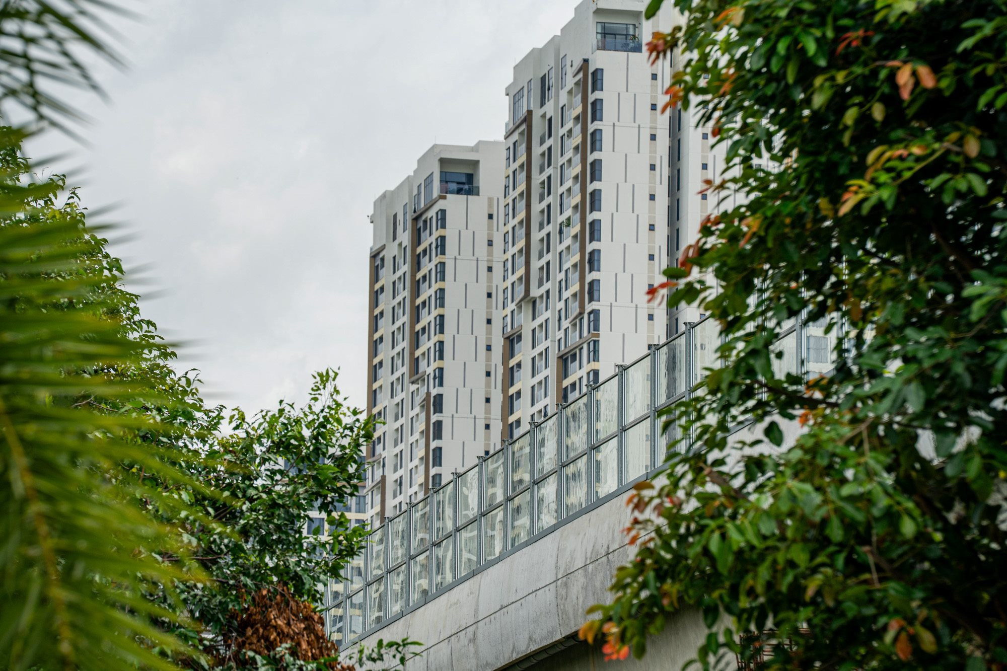 5_vanh-dai-3-tp.hcm.jpg