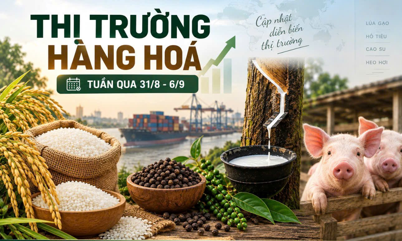 Thị trường hàng hóa tuần qua 31/8 - 6/9: Gạo giảm cuối tuần, heo hơi mở rộng đà tăng