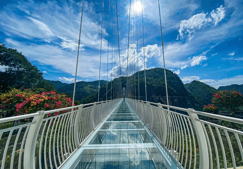 untitled(1).png