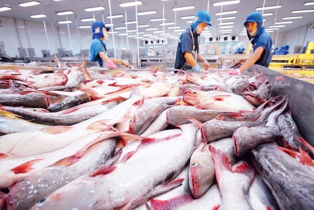 Mặt hàng tỷ đô của Việt Nam gặp ‘cơn bão kép’ tại Mỹ: Xuất khẩu tháng 8 giảm gần 55%, nguy cơ chịu ‘thuế chồng thuế’