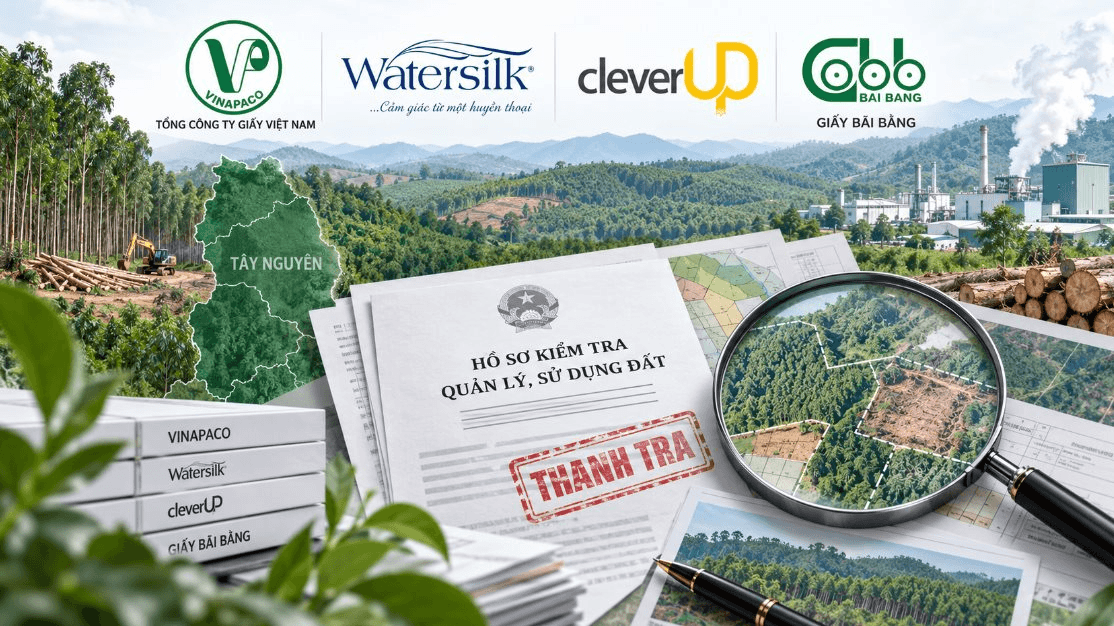 Doanh nghiệp sở hữu Watersilk, CleverUp, Giấy Bãi Bằng và đơn vị liên quan bị Thanh tra Chính phủ chỉ ra loạt vi phạm