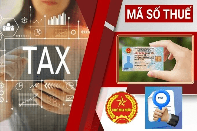 Cơ quan thuế thông báo quan trọng: Người vừa được cấp mã số thuế cần kiểm tra ngay 5 thông tin