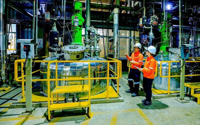 Blue Moon huy động gần 300 triệu CAD phát triển tài sản, MSR đạt 21.013 tỷ đồng doanh thu 8 tháng