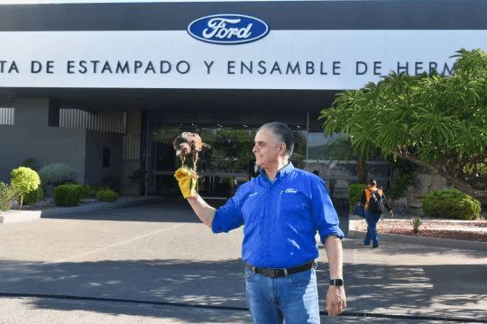 Không phải con người hay AI, Ford thuê “nhân viên” đặc biệt đạt hiệu quả đến 80%