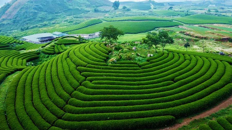 20232809-duy16.webp
