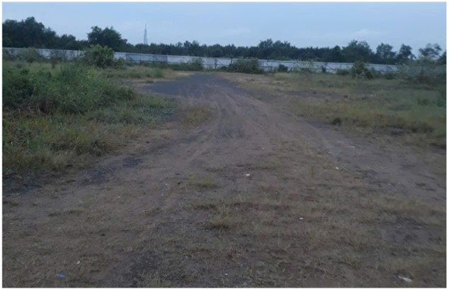 picture1.jpg