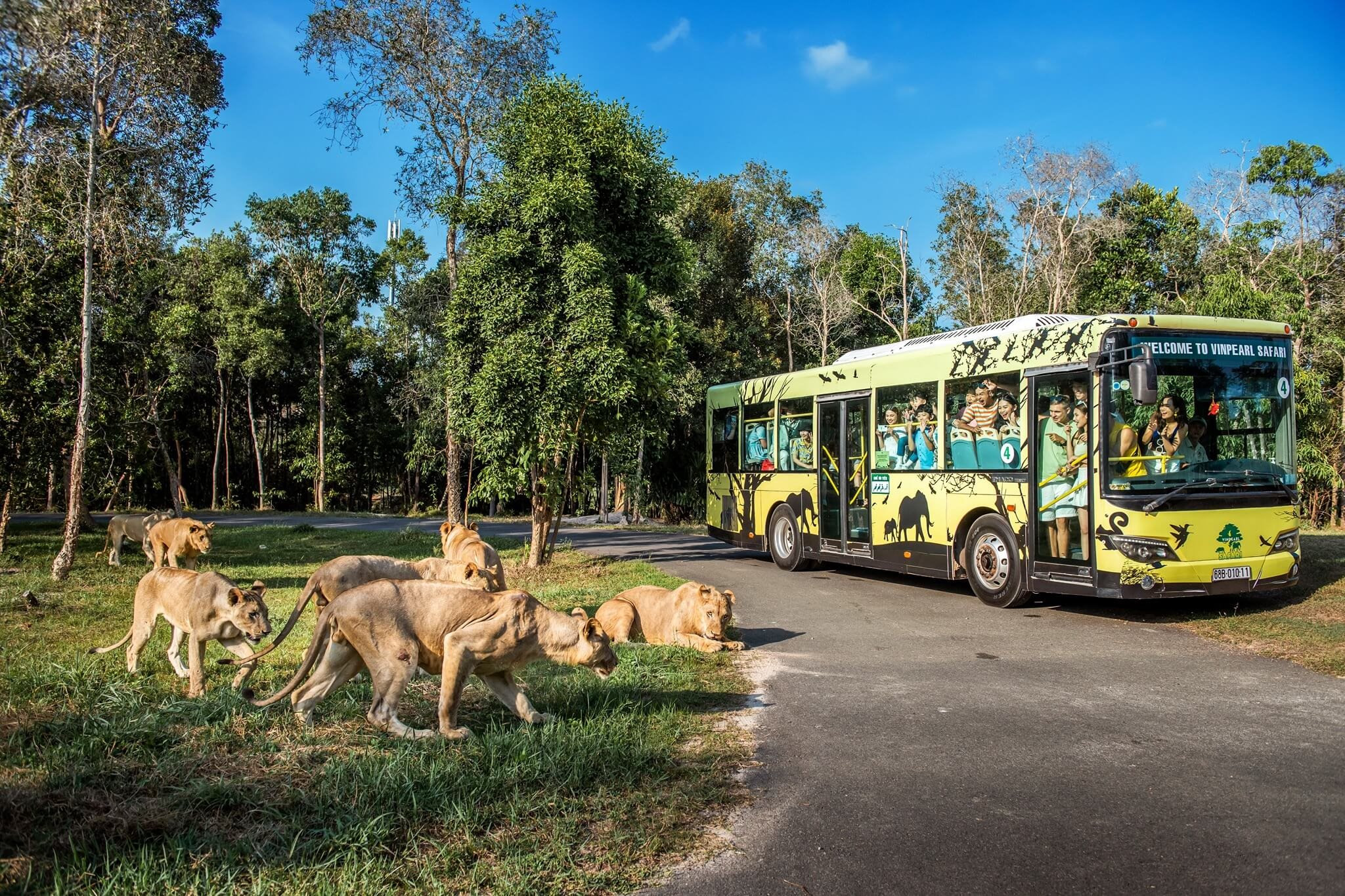 safari-phu-quoc.jpg