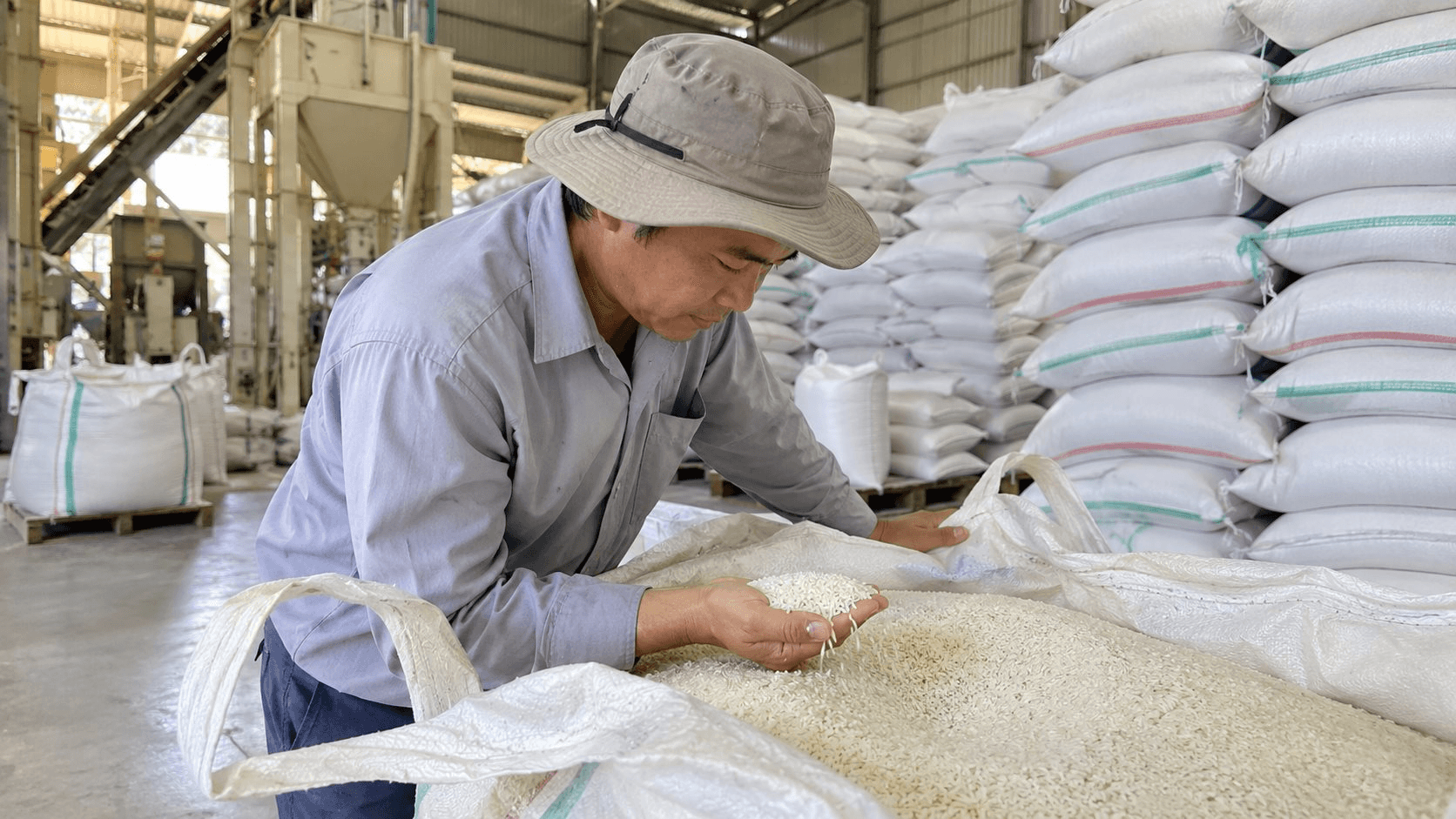 Thị trường hàng hóa ngày 7/10: Cao su đồng loạt tăng, gạo nguyên liệu giảm nhẹ