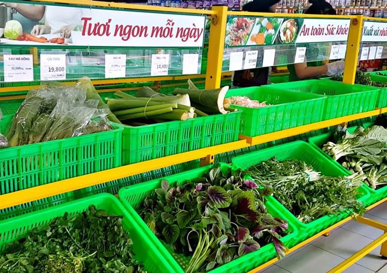 Một “đại gia” tuyển người cùng bán rau, thu nhập có thể lên đến 30 triệu đồng