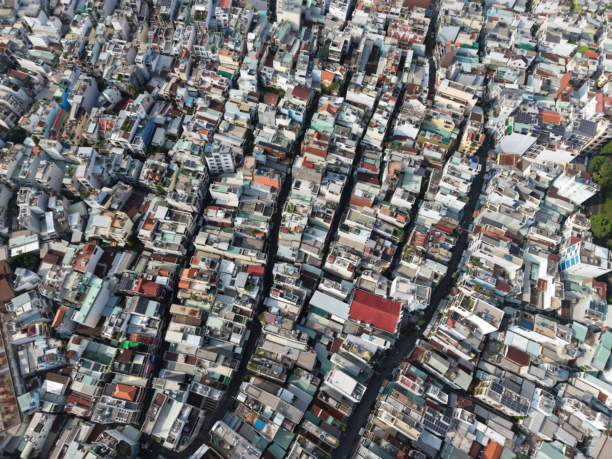 dji_20250405155003_0549_d.jpg