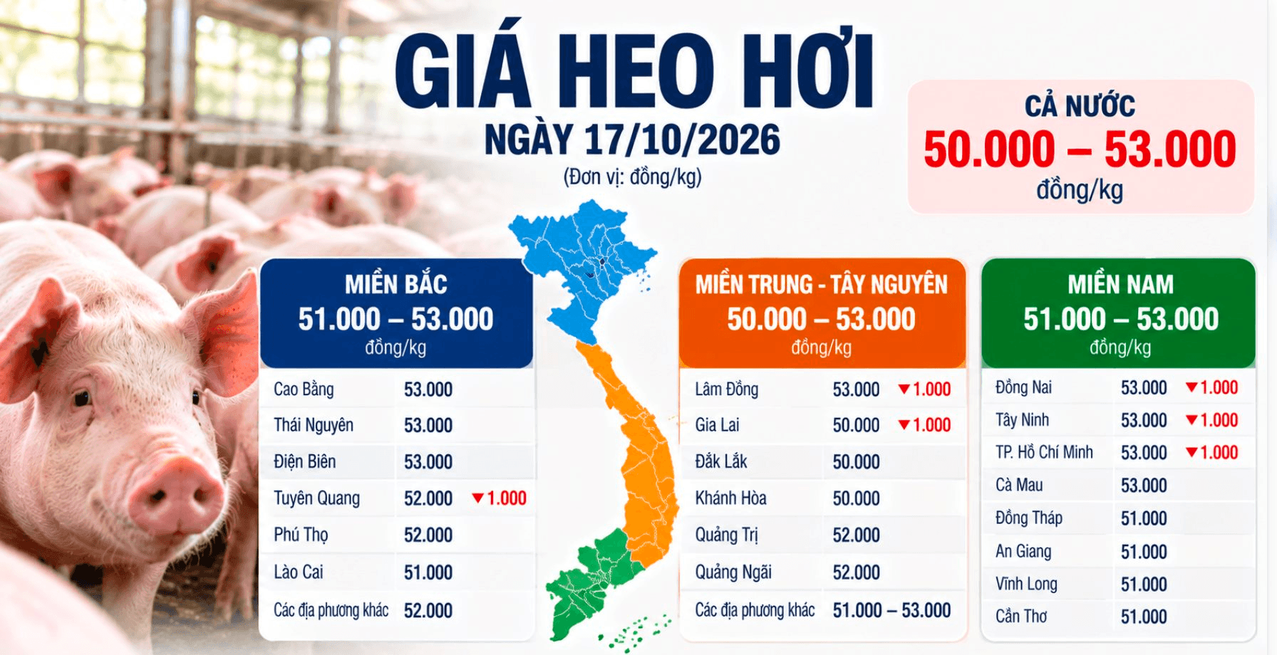 Thị trường hàng hóa ngày 17/10: Heo hơi tiếp tục giảm, giá gạo nguyên liệu bật tăng