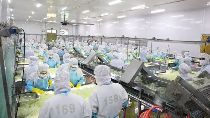 “Ông lớn” sản xuất nha đam, thạch dừa GC Food (GCF) bị phạt gần nửa tỷ đồng vì loạt vi phạm 