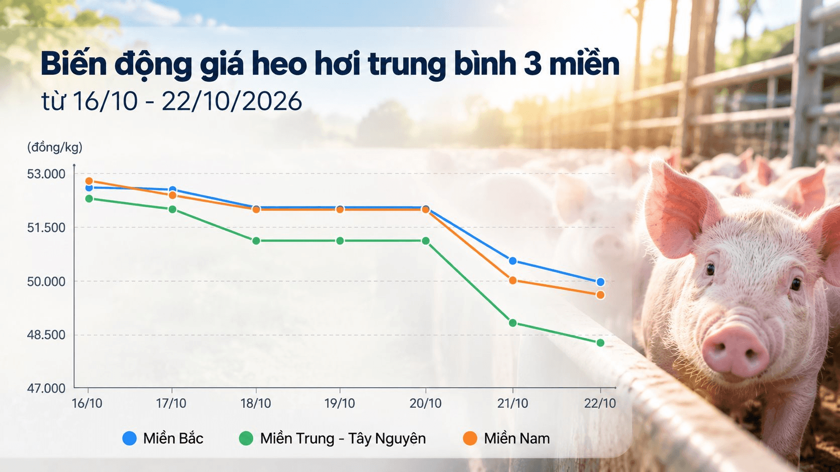 Thị trường hàng hóa ngày 22/10: Heo hơi chưa dứt đà giảm, gạo xuất khẩu bật tăng
