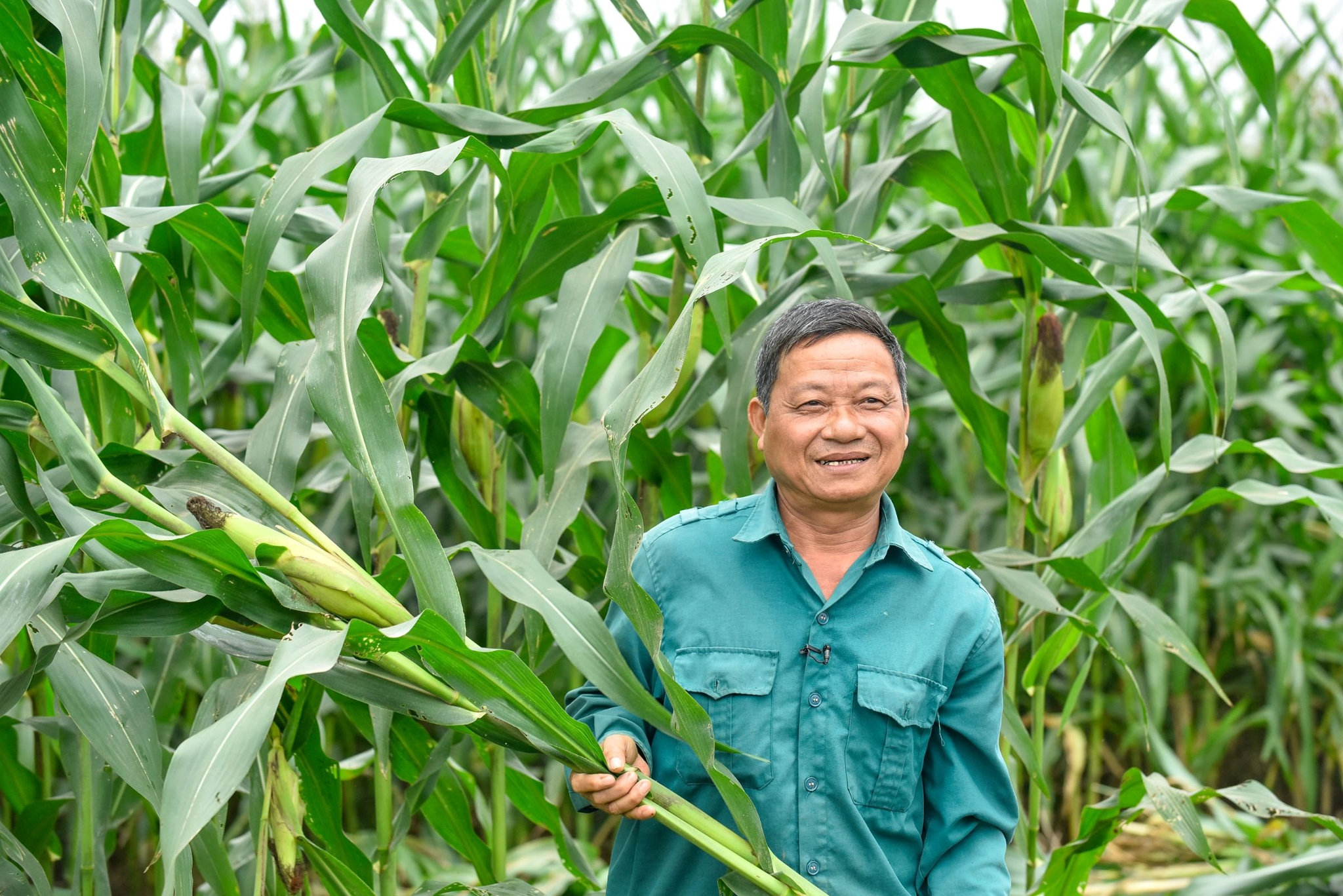 anh-5a.jpg