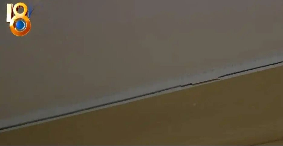 l1.jpeg