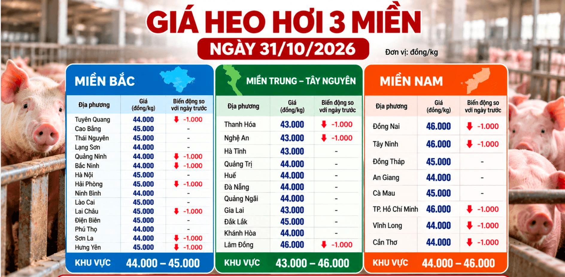 anh-man-hinh-2026-10-31-luc-08.23.28.png