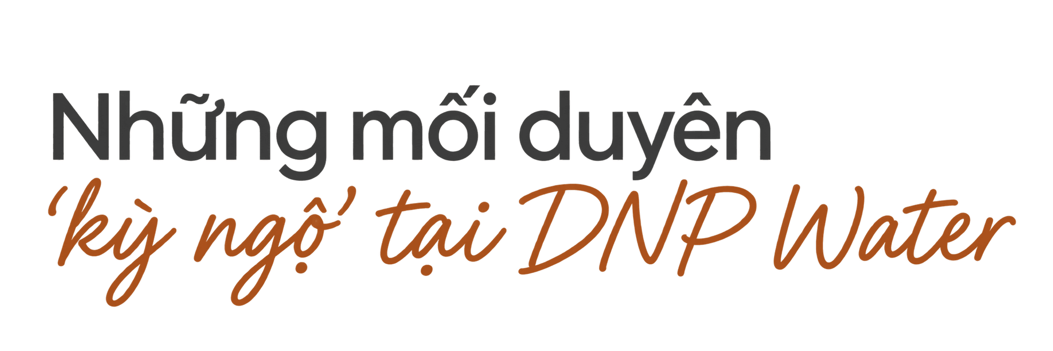 Những mối duyên ‘kỳ ngộ’ tại DNP Water