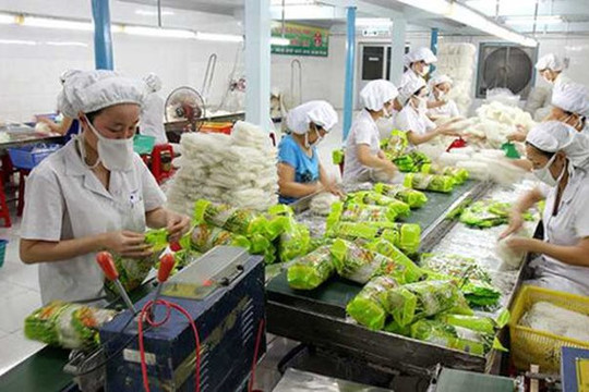 EU áp dụng quy định mới đối với rau quả nhập khẩu từ Việt Nam