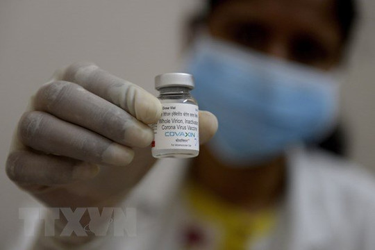 Bộ Y tế phê duyệt vaccine Covaxin do Ấn Độ sản xuất