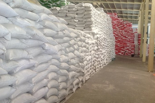 Xuất cấp 4.880,295 tấn gạo hỗ trợ người dân 3 tỉnh gặp khó khăn do Covid-19