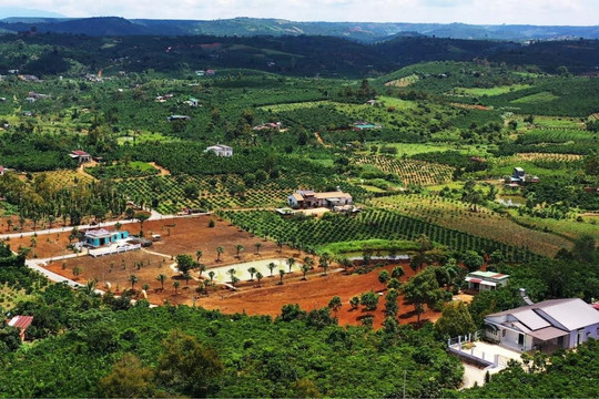 Lâm Đồng: Núp bóng “hiến đất mở đường” để phân lô bán nền
